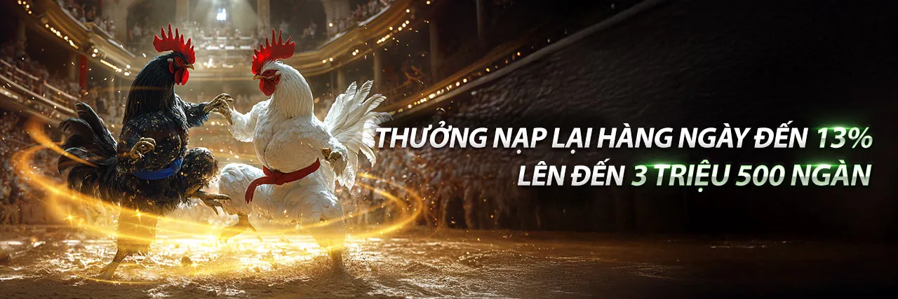 Tải ứng dụng ga65 android để trải nghiệm tốt nhất
